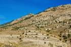 USA, Nevada, Ely. White Pine Mountains Art Print